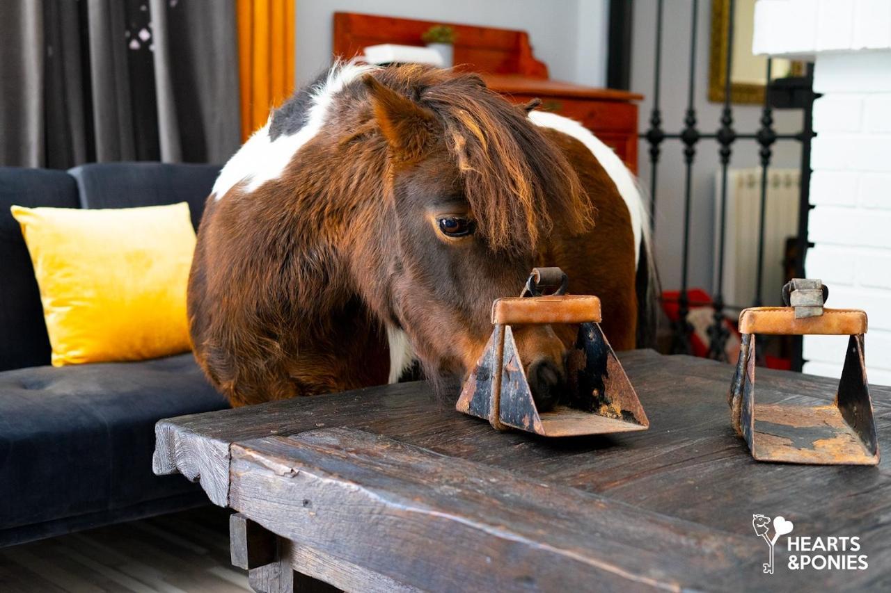 Hearts&Ponies Pension Chinchón Buitenkant foto
